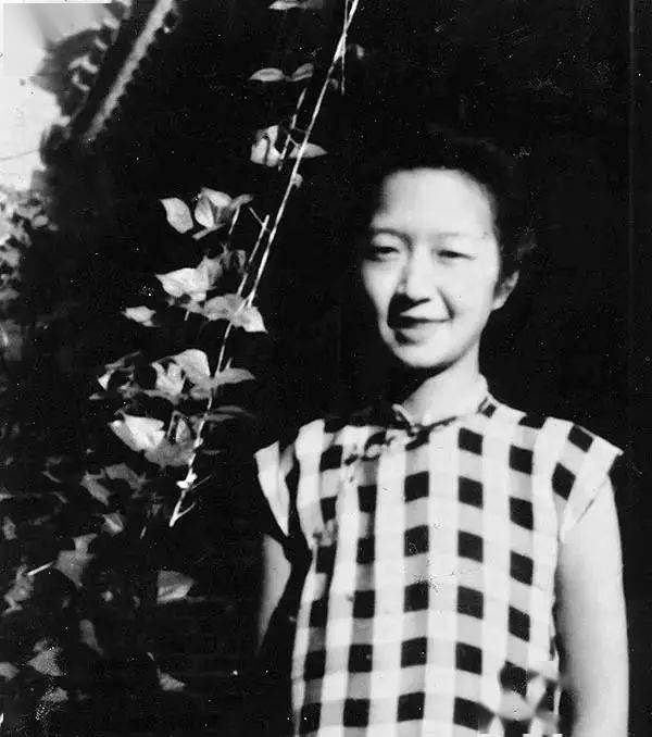 乱世有佳人,绝世而独立