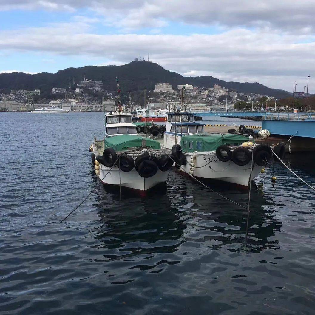 面对实景如何主观处理?看这篇就够了!(附实景写生对照)