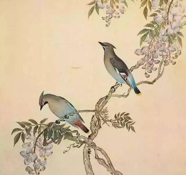没全让蒋介石带走的国宝级清宫鸟谱图,竟然这么美