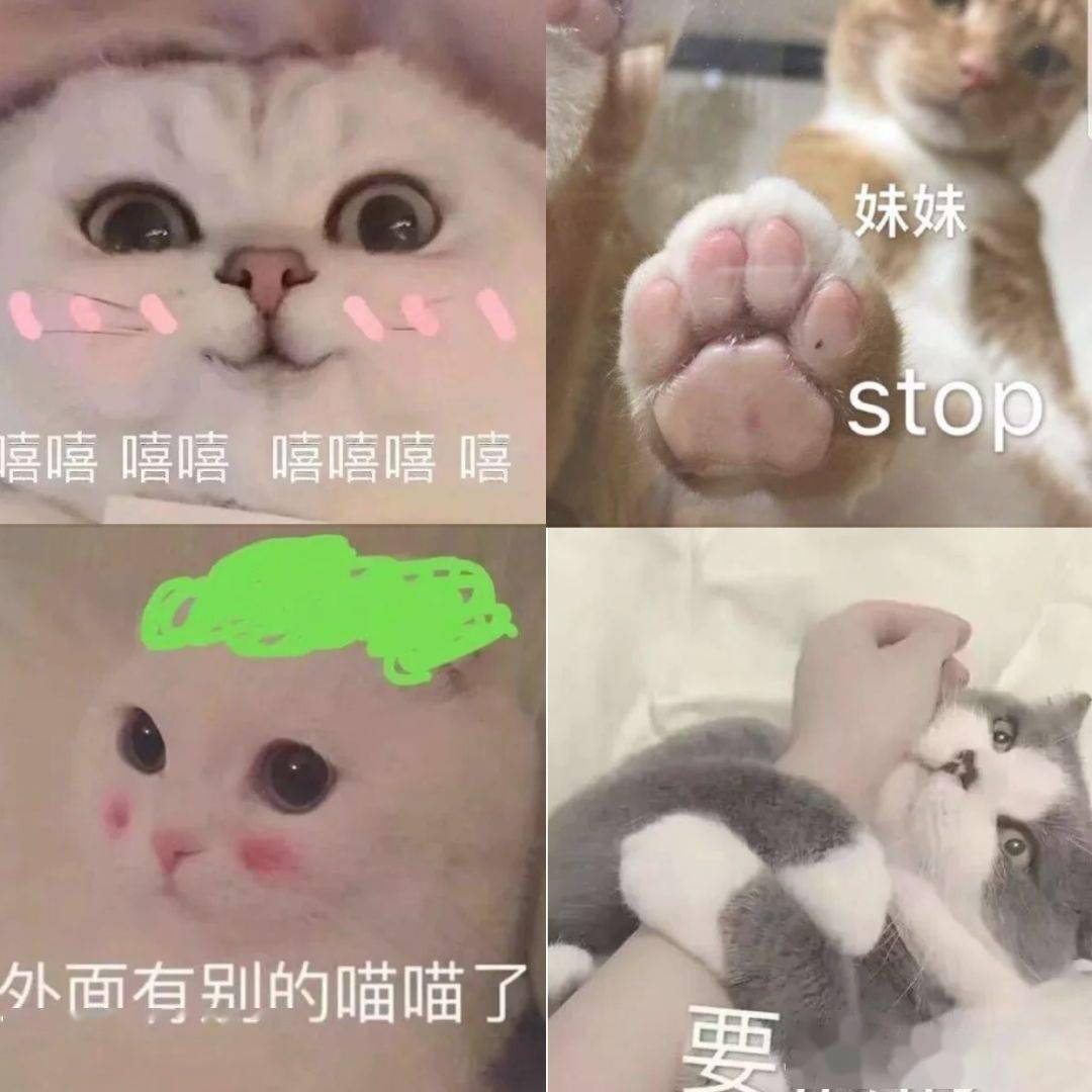 100张无敌可爱表情包,撩不动你算我输!!