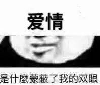 「查无此人」大概是对她最好的报复