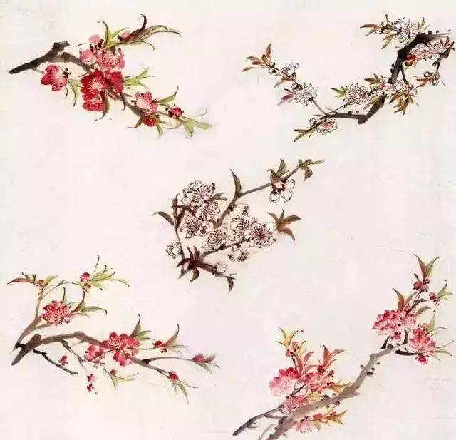 国画入门—桃花、燕子、柳树的画法