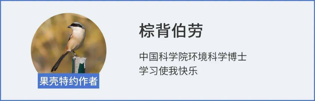 都说污染多,腰花、肝尖、脑花还能吃吗