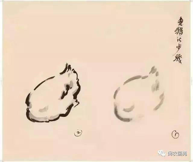 徐悲鸿“手把手”教画花鸟,干货。