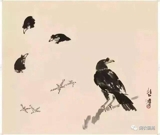 徐悲鸿“手把手”教画花鸟,干货。