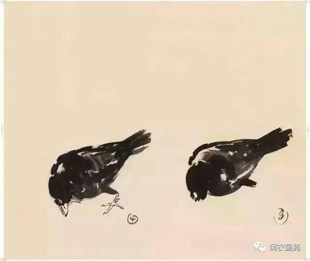 徐悲鸿“手把手”教画花鸟,干货。