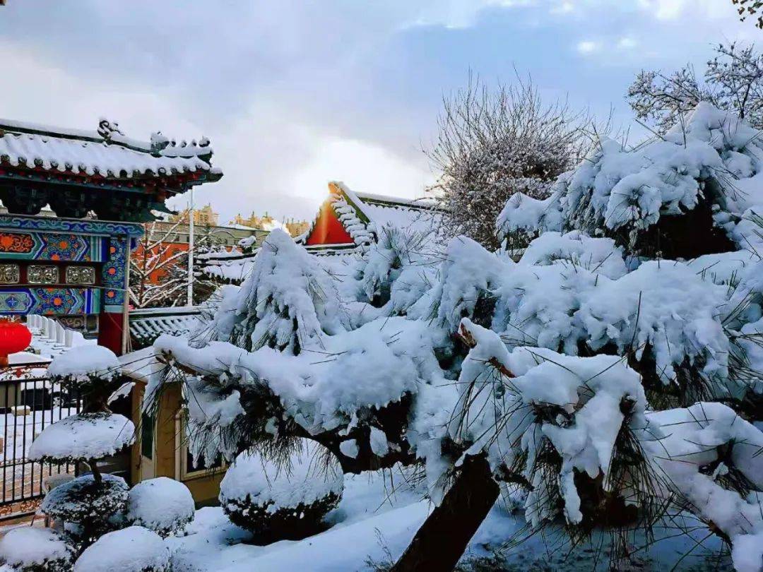 一场大雪,让烟台美翻全国