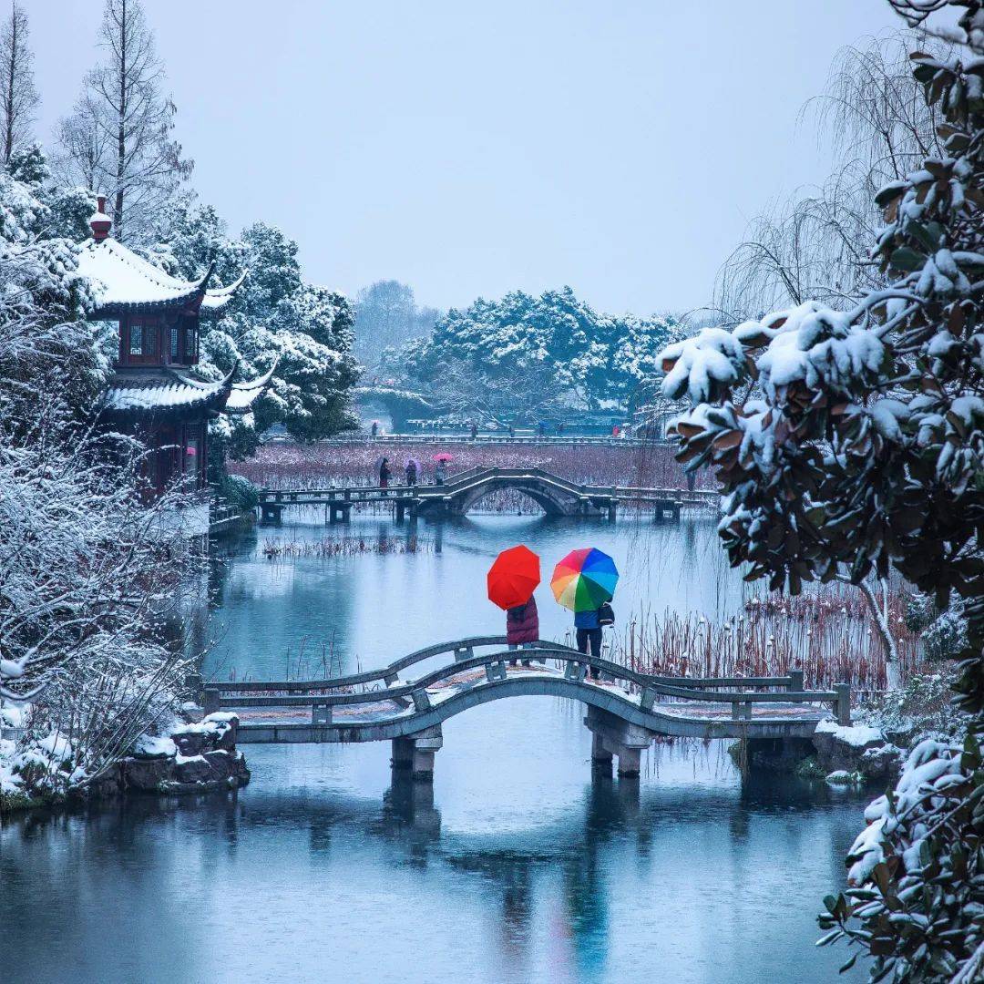 冬至数九日,岁月至醇时