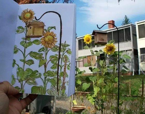 这位老兄弟呀,把自己花园植物画了个遍..