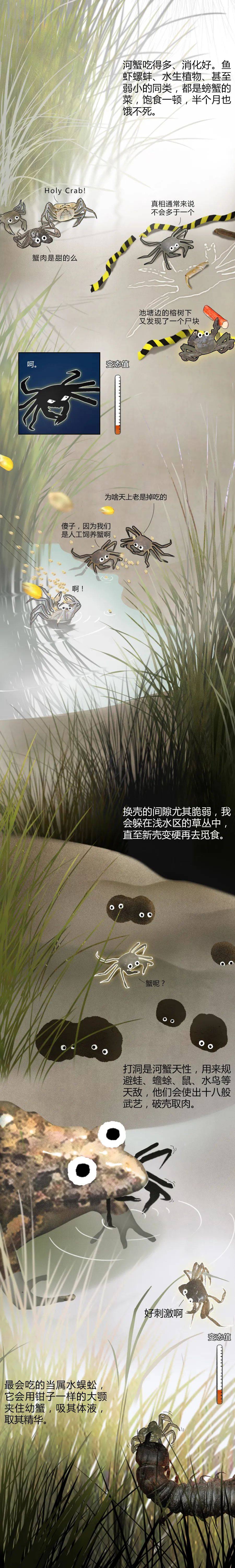 蟹塘梦幻曲