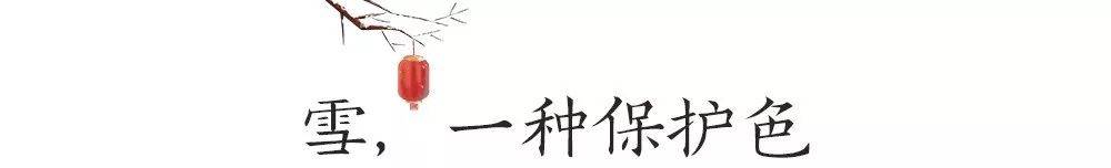 雪 , 下 在 宋 畫 裡