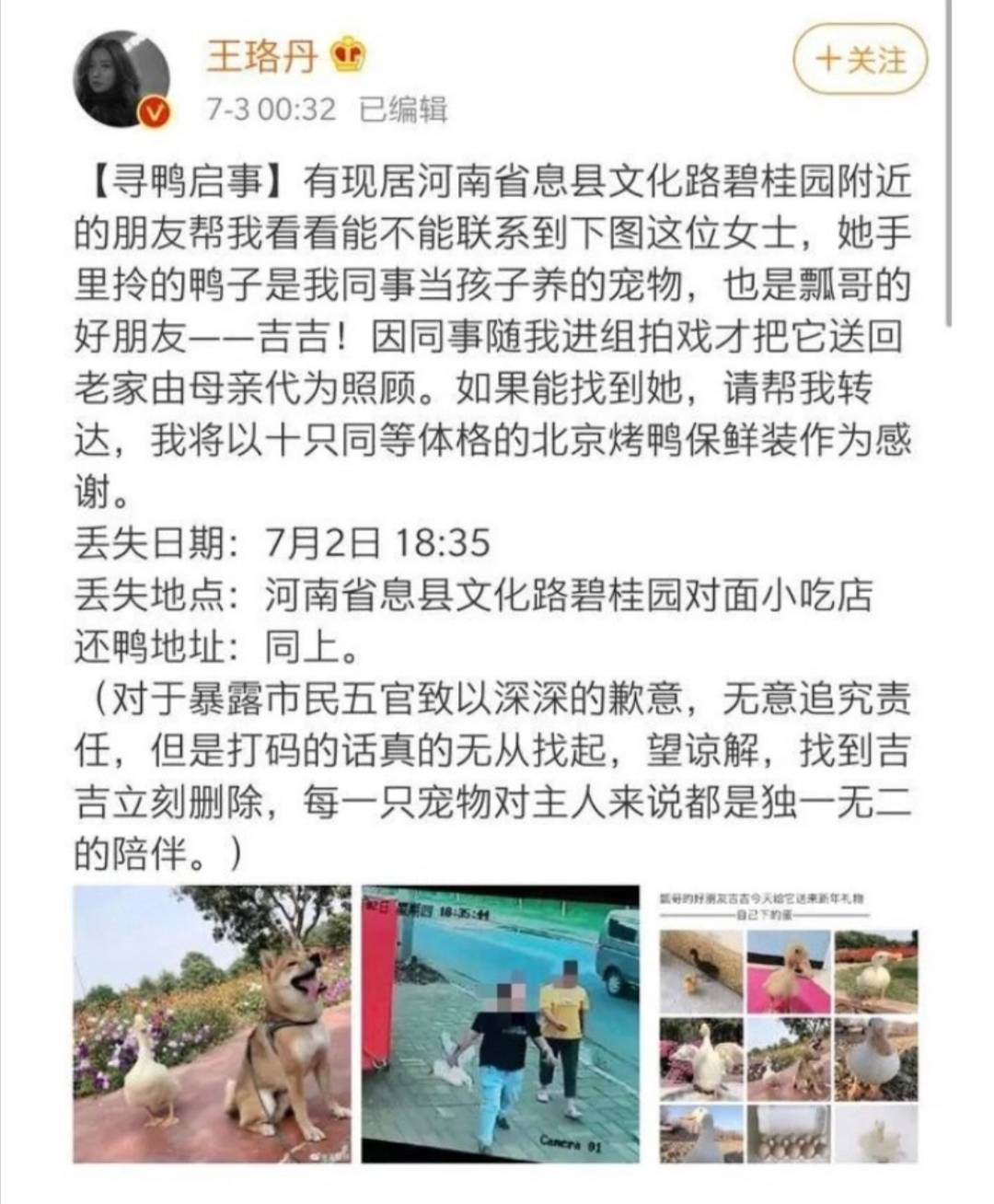 时尚编辑逛鸭店,王思聪王珞丹爱的万元鸭到底有多好撸?丨【嗨!POP】