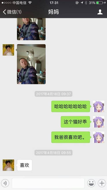 女子出差把猫咪交给父母,以为会被虐待,看到发来的照片乐坏了