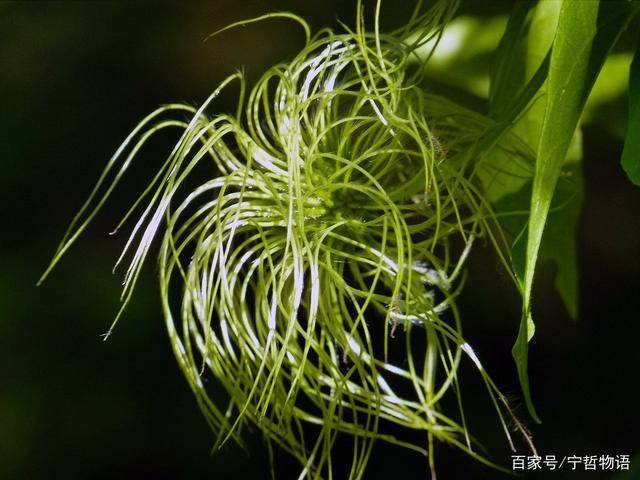 村上春树:不必太纠结于当下,也不必太忧虑未来