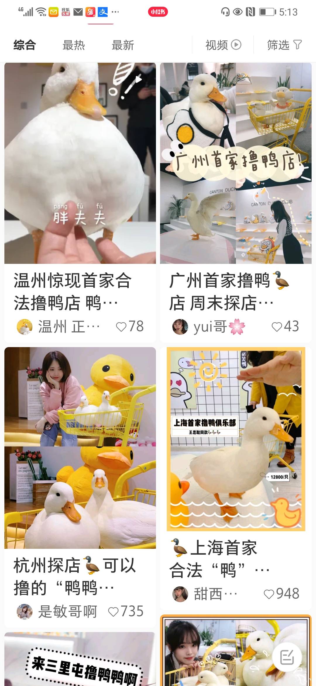 时尚编辑逛鸭店,王思聪王珞丹爱的万元鸭到底有多好撸?丨【嗨!POP】