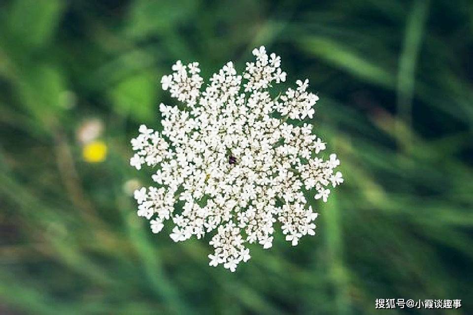 深受启发的感悟句子,意境深远,让人过目难忘
