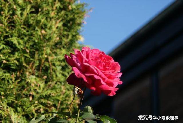 让人心潮澎湃的励志句子,富含哲理,精湛走心