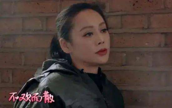 别装了,郑爽!其实比谁都精明啊…
