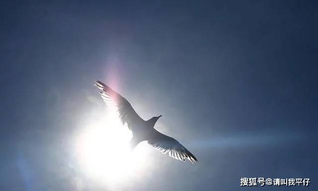 生命不息奋斗不止,让人看了就心潮澎湃,句句受益非浅!