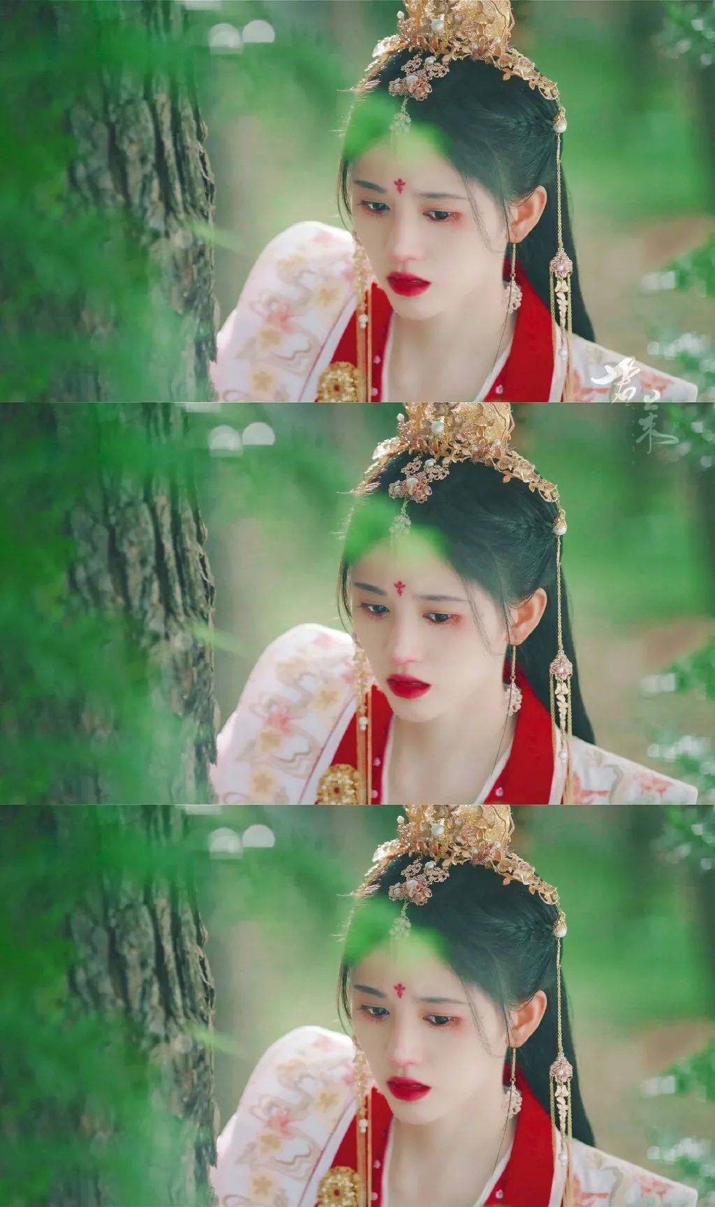 鞠婧祎壁纸:感谢你出现在我的青春,让我知道了什么是人间理想