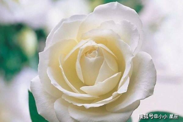 最容易“母爱泛滥”的4大生肖女,心软善良,不让老公受半点委屈