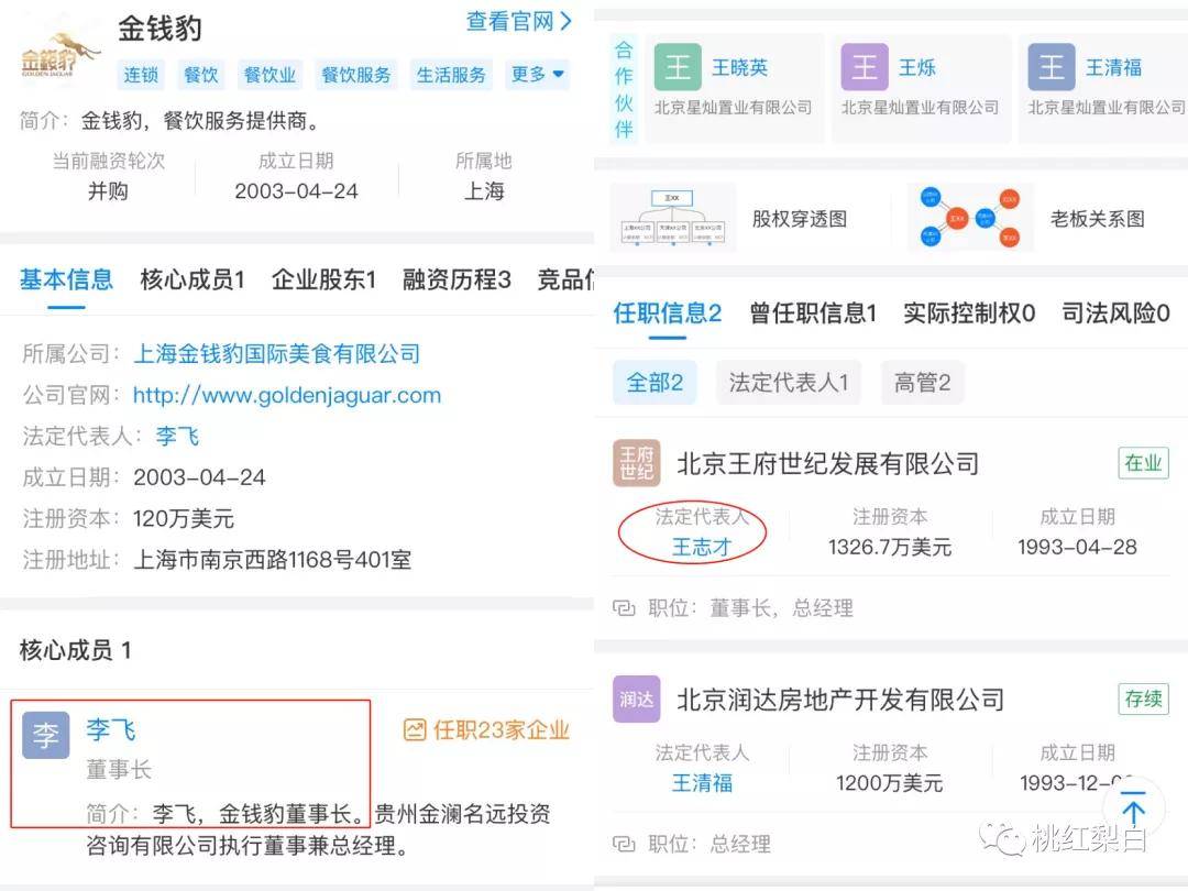 老公身家100亿住故宫隔壁,最美晴格格用得着给于正打工?