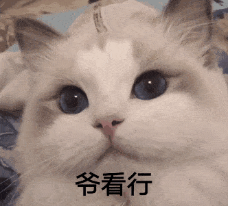 终于有一部女性带飞的悬疑推理剧了