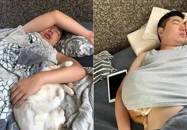她养10年被猫“家暴”,孤僻猫才认识老公3年,却整天黏在一起
