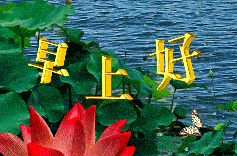 清晨早安祝福语4张漂亮图片动态表情,早安问候祝福语短信