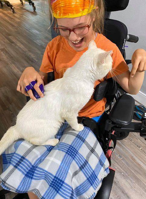 坐电动轮椅去领养猫,很多猫都被吓跑,唯有它敢主动接近!