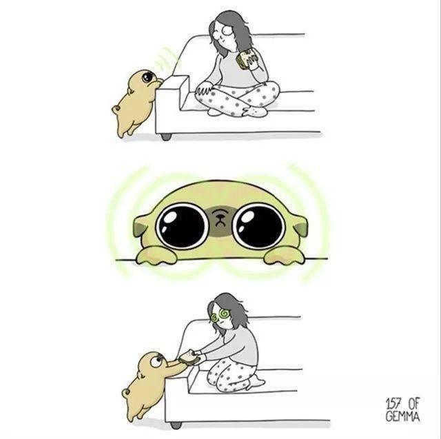 你养狗也这样,准的我无话可说