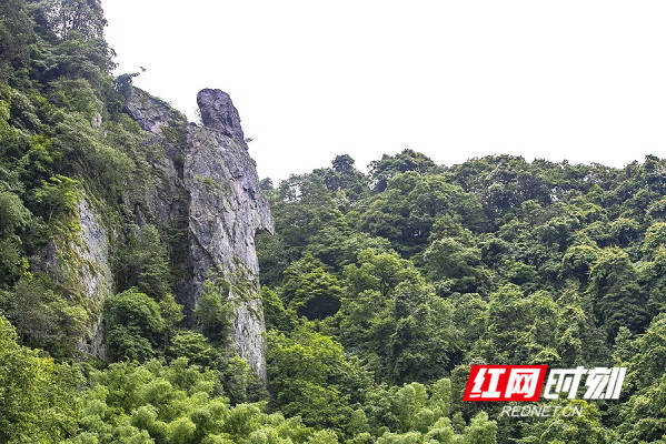 扶贫印记·组图丨到了洞口县 记得去看看“宝瑶八景