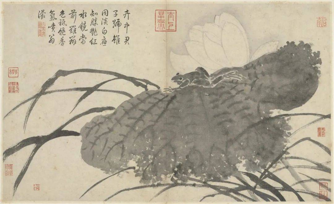 从一场盛夏的“荷花燕”到沈周的《瓶荷图》