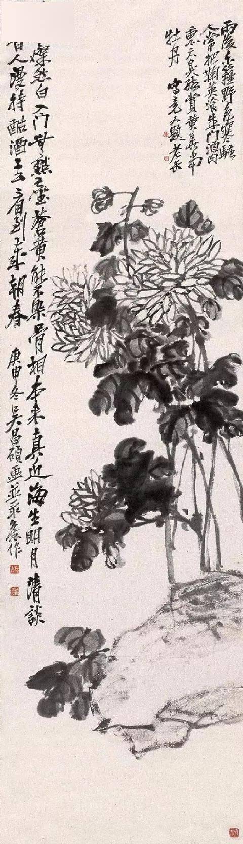 【岐山书画】吴昌硕笔下的菊花,大气、古朴