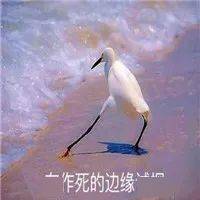 「查无此人」大概是对她最好的报复