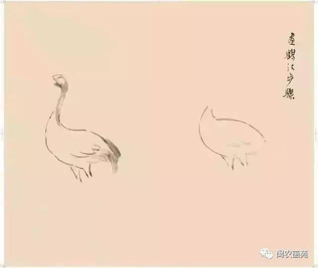 徐悲鸿“手把手”教画花鸟,干货。