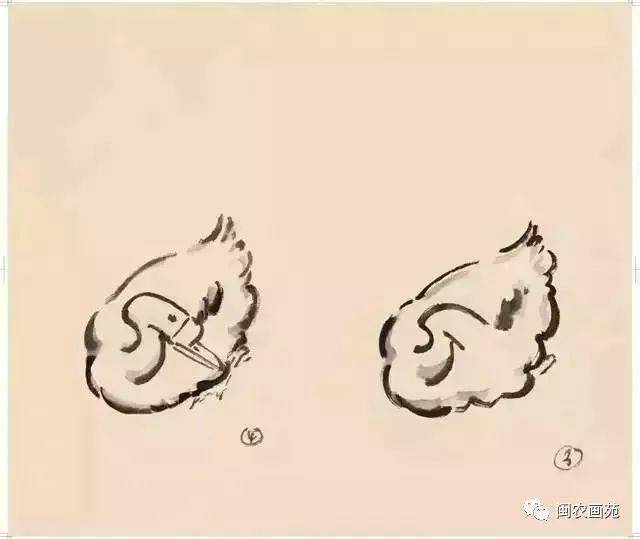 徐悲鸿“手把手”教画花鸟,干货。