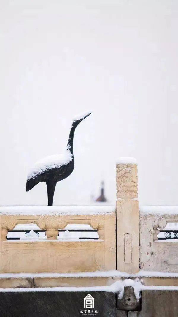 六百年紫禁城,初雪依旧,人不同