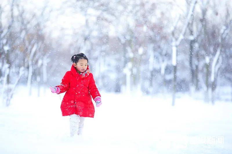 一场大雪,让烟台美翻全国