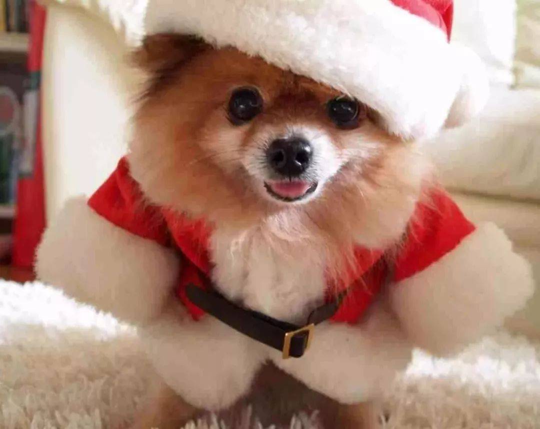 “哎呀妈呀!不行了! 谁来救救我!! ”哈哈哈哈哈哈哈哈哈哈