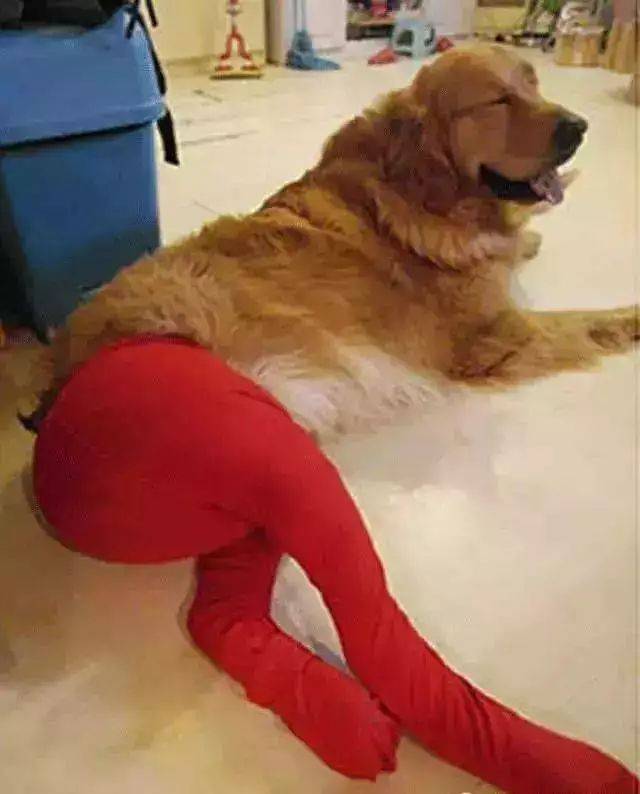 “哎呀妈呀!不行了! 谁来救救我!! ”哈哈哈哈哈哈哈哈哈哈