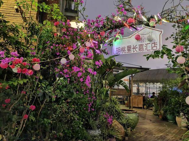 荣耀X10抢先体验:所在档位冠军提前锁定?