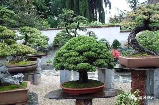 一座小院,粗茶淡饭;爱人在侧,余生不弃