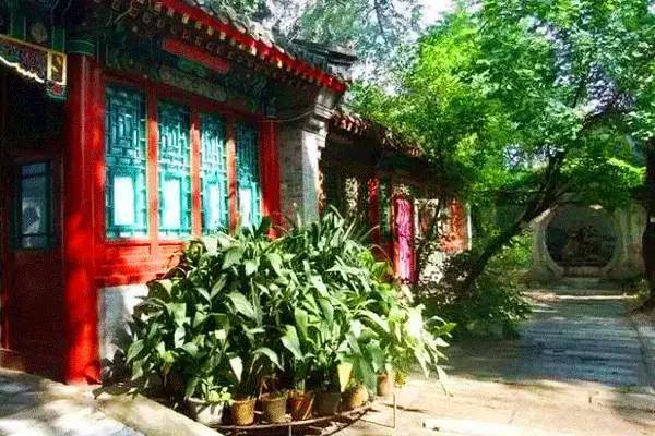 四合院,框出一片中国人独有的天地