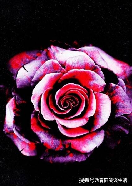 有着深刻含义的经典说说,通透走心,值得品读