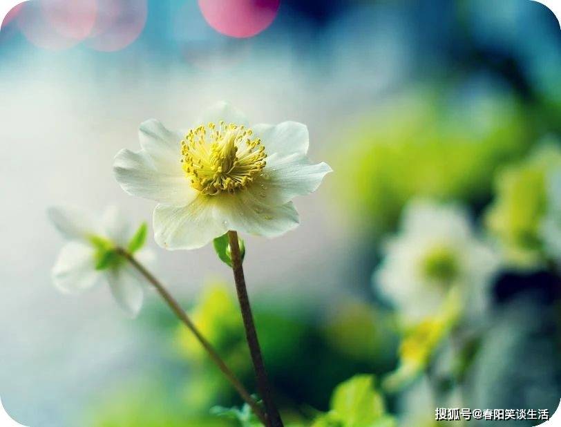 聚散随缘,得失由命