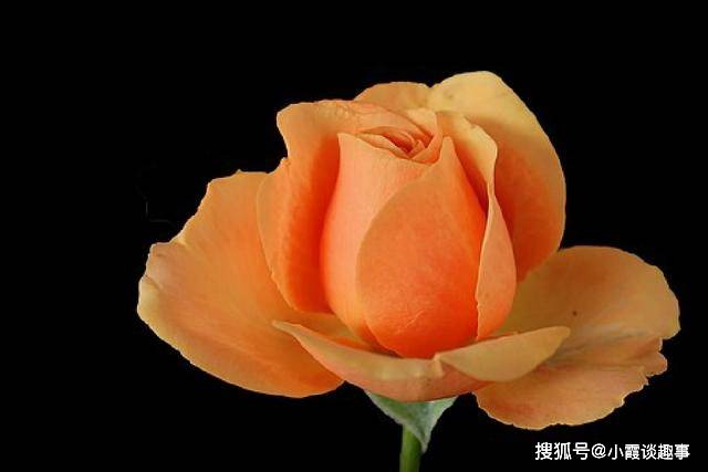 让人心潮澎湃的励志句子,富含哲理,精湛走心