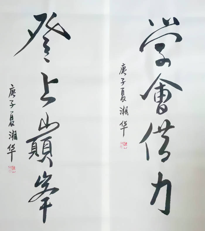 医学画家湘华的书画