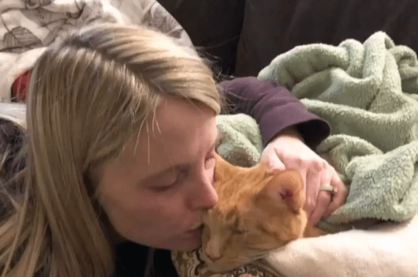 她捡了一只流浪猫,养了14年:从学生时代到结婚生子