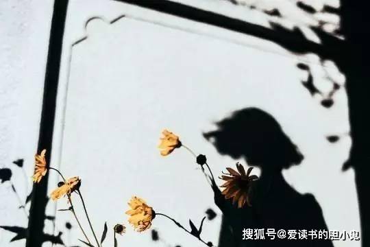 人生实苦,唯有自渡